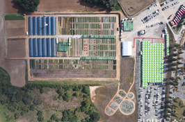 종자산업 미래 한눈에…2026 국제종자박람회 참가기업 모집