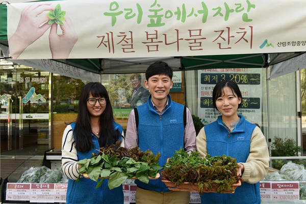 산림조합 직원들이 제철 봄나물을 들고 포즈를 취하고 있다.  