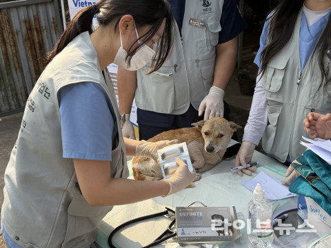 녹십자수의약품, 베트남 동물의료봉사 의약품 후원... 'One Health' 가치... - 뉴스 썸네일 이미지